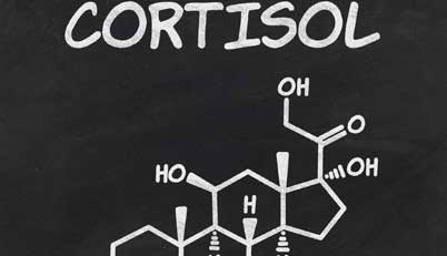 It increases cortisol production